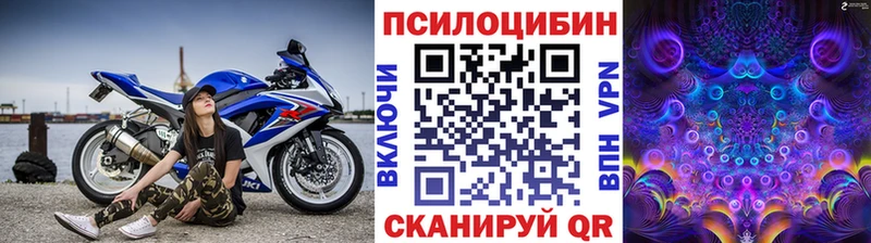 купить наркотик  OMG вход  Псилоцибиновые грибы MAGIC MUSHROOMS  Верея 